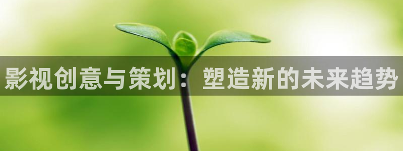 悟空视频免费看：影视创意与策划：塑造新的未来趋势