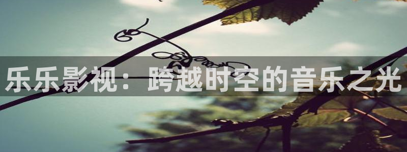 悟空视频影视大全：乐乐影视：跨越时空的音乐之光