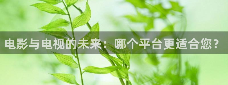 悟空舞蹈视频：电影与电视的未来：哪个平台更适合您？