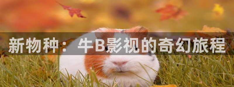 悟空视频极速版