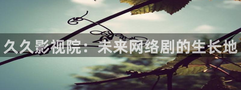 悟空在线视频播放