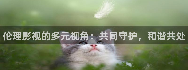 悟空在线影视