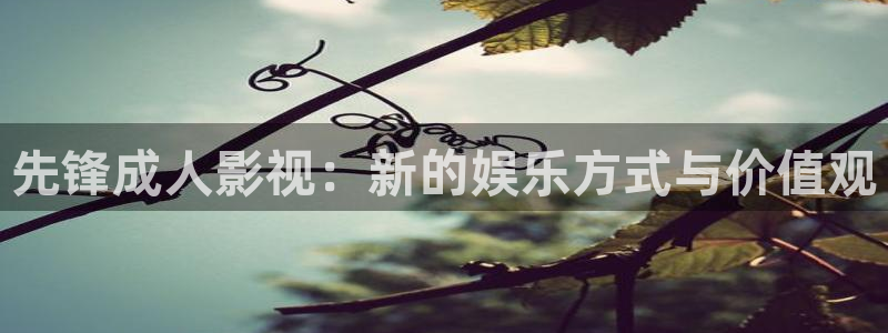 悟空视频下载免费