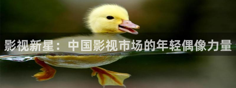 下载悟空视频